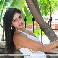 Haripriya New Photo Shoot - Pictures | Picture 115679